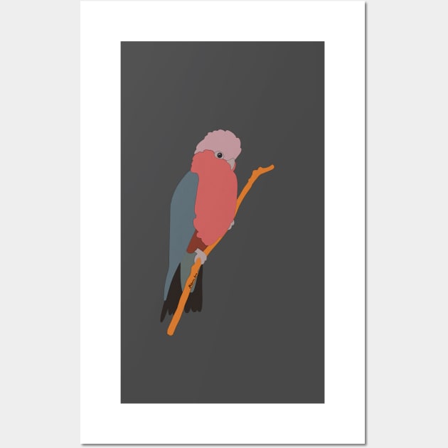 Cheeky Galah Wall Art by Laytle